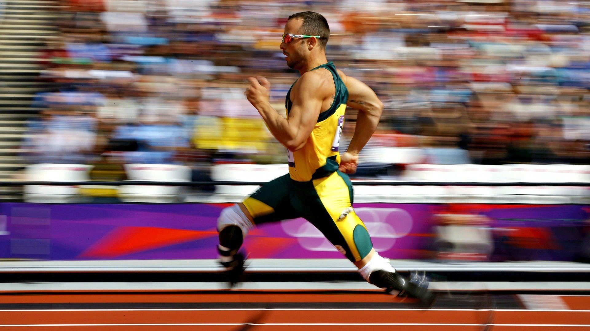 伊朗马术协会与科技公司合作，开发虚拟现实训练平台，提升骑手技能。